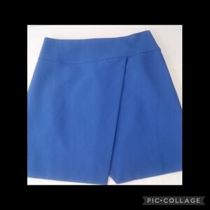 J.Crew blue skirt